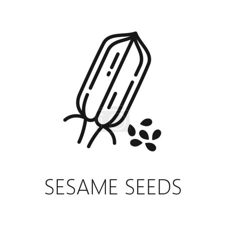 Illustration for Sesame seed isolated outline icon. Vector natural food condiment, thin line sign. Vector nutrition sesame seeds, healthy food spice - Royalty Free Image