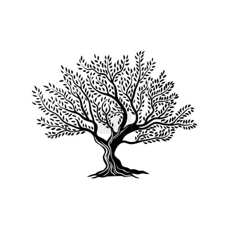 Ilustración de Icono de silueta aislada de olivo con hojas para etiqueta de vector de aceite de oliva. Embalaje de productos alimenticios ecológicos emblema y silueta de olivo signo de la naturaleza, planta para el aceite de oliva virgen extra ecológico o bio - Imagen libre de derechos