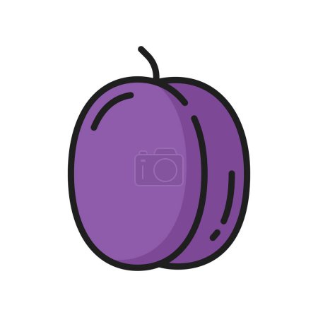 Ilustración de Ciruela púrpura, maracuya fruta de la pasión cruda, icono de la línea de colores de alimentos exóticos. Vector de maracuja, merienda vegetariana. Comida tropical de pepo berry ovalada, postre maduro - Imagen libre de derechos