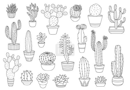 Illustration for Outline cactus succulents, vector desert plants. Thin line cacti in flower pots, mexican agave, opuntia or prickly pear, saguaro, echeveria and haworthia cactus, succulents with spiky leaves, flowers - Royalty Free Image