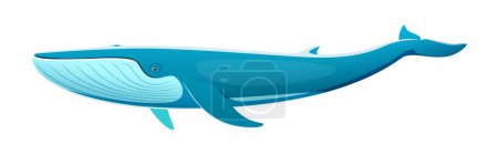 Téléchargez les illustrations : Caractère de baleine bleue. Majestueuse et magnifique créature marine connue pour sa taille immense et sa coloration bleu-gris distinctive. Vecteur de dessin animé isolé plus grand animal sur terre, vivant dans les océans - en licence libre de droit