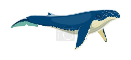 Ilustración de Carácter animal de ballena jorobada. Vector de dibujos animados aislado enorme mamífero marino con aleta dorsal jorobada y canciones melódicas. Habita océanos, con tamaño impresionante y elegantes acrobacias submarinas - Imagen libre de derechos