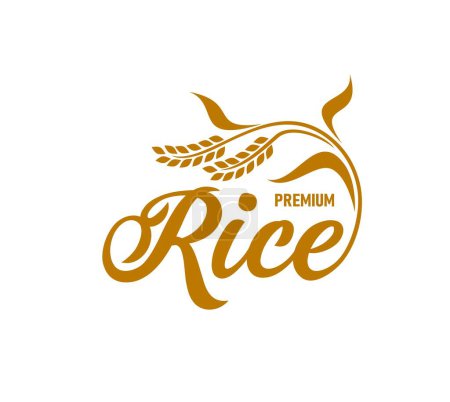Ilustración de Icono de arroz, etiqueta de paquete de alimentos orgánicos, bio cereal natural y símbolo de vector de harina. Icono de arroz de primera calidad de la silueta de oreja y tallo para la tienda de alimentos agrícolas o el envasado de arroz y cereales - Imagen libre de derechos