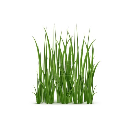 Ilustración de Hierba realista, hojas verdes exuberantes con textura suave. La cubierta de tierra aislada de vectores 3D proporciona un entorno tranquilo y natural en varios entornos, como prados, jardines y parques. - Imagen libre de derechos