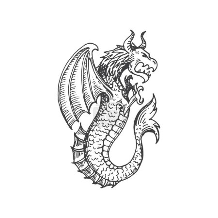 Illustration for Medieval heraldic animal monster sketch. Magic beast, mythical creature medieval heraldic sketch monster. Mythical winged sea dragon with fins, legend beast or fantasy animal heraldry vector insignia - Royalty Free Image