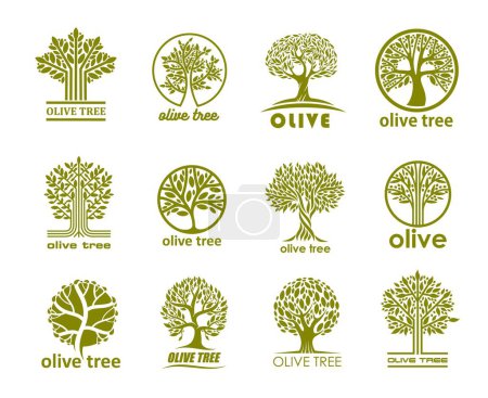 Ilustración de Iconos de olivos, etiquetas de aceite de oliva para alimentos naturales orgánicos, símbolos vectoriales. Siluetas de olivos en círculo con hoja de planta verde para signos de aceite virgen extra, jardín eco granja y parque natural - Imagen libre de derechos