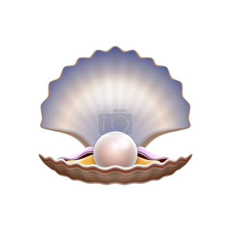 Illustration for Cartoon scallop shell with pearl showcasing natural beauty and elegance in a harmonious combination. Isolated vector escallop crest adorned with lustrous sphere, symbolizing purity and ocean treasure - Royalty Free Image