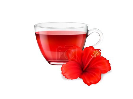 Illustration for Realistic hibiscus tea cup and flower, herbal drink and organic beverage vector background. Hibiscus tea or red floral tea in glass mug, isolated realistic 3D flower of hibiscus for exotic carcade tea - Royalty Free Image