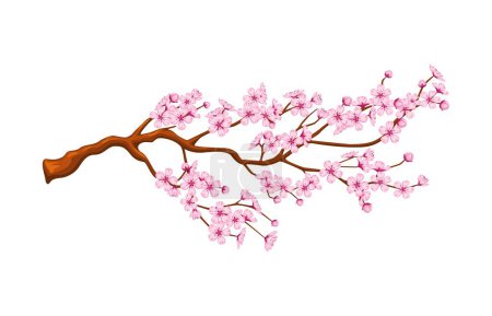 Téléchargez les illustrations : Fleur de cerisier dessin animé, nouvel article chinois de l'année lunaire. Vecteur isolé fleurissant branche de sakura, orné de belles fleurs roses symbolisant le renouveau de la nature et la beauté éphémère de la vie - en licence libre de droit