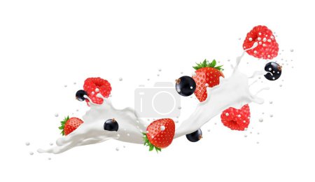 Illustration for Realistic milk drink swirl splash with berries and drops, vector 3d food. Spilled cream fruit dessert or milk shake cocktail with strawberry, raspberry and blackcurrant fruits, white creamy splash - Royalty Free Image