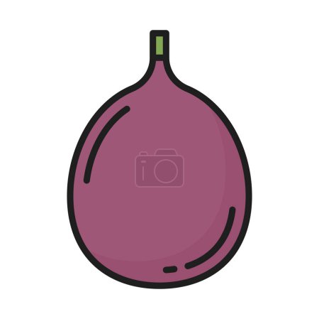 Illustration for Purple fig whole cut fruit isolated exotic food berry line icon. Vector ripe summer cluster or sycamore fig, sweet snack. Thai food dessert - Royalty Free Image