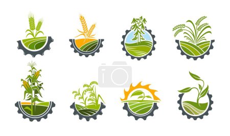 Illustration for Agriculture icons. Field of rice, wheat, millet and corn, rye and barley, oats and wheel. Agriculture technology or food production company vector emblem with farm plant leaves, cereal ears, cog wheel - Royalty Free Image