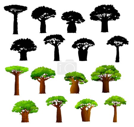 Téléchargez les illustrations : Des baobabs africains et des silhouettes. Baobabs vecteurs de savane africaine avec de larges troncs et des feuilles vertes. Arbres tropicaux isolés, plantes résistantes à la sécheresse d'Afrique, Madagascar et Zanzibar - en licence libre de droit