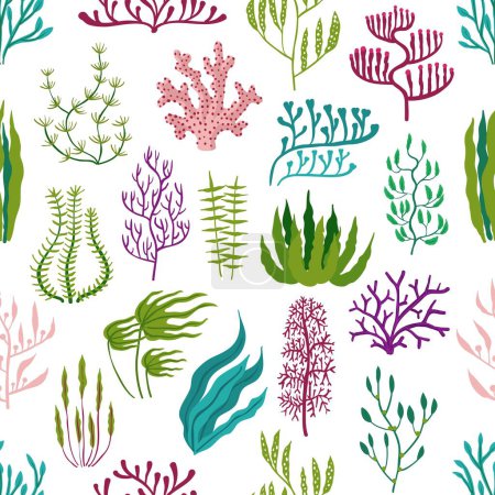 Illustration for Underwater seaweed plants, aquarium algae seamless pattern. Corals and seaweeds vector background of marine flora with green kelp and laminaria, purple codium, gracilaria and rhodymenia leaves - Royalty Free Image