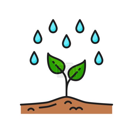 Illustration for Plant growth, seedling watering agriculture color line icon. Harvest cultivation thin line vector pictogram with rain, water drops falling on sprout. Farming or agriculture sign, outline symbol - Royalty Free Image