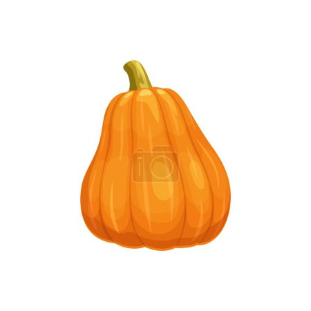 Illustration for Ripe pumpkin, isolated vector vibrant orange and plump gourd with smooth surface and rich color evoke the essence of autumn harvest. Traditional symbol of fall season, Thanksgiving, Halloween holiday - Royalty Free Image
