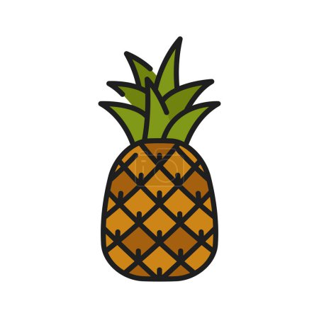 Illustration for Ananas or pineapple tropical fruit isolated color line icon. Vector raw exotic pineapple with leaves, tropical food snack. Summer juicy dessert - Royalty Free Image