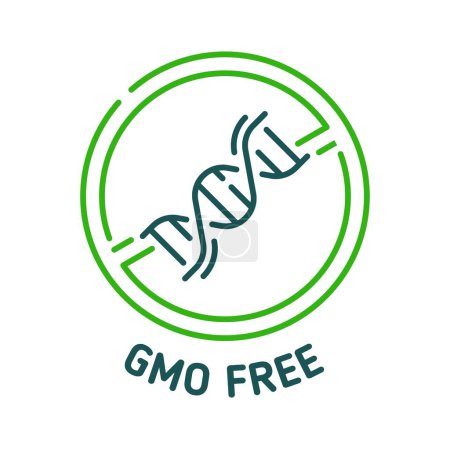 Illustration for GMO free icon and sign for non genetically modified product label, vector badge. GMO free, organic and natural bio food green icon with DNA symbol, eco and healthy safe products seal for food package - Royalty Free Image