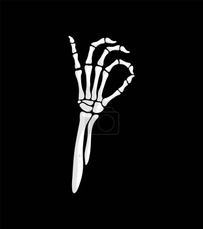 Illustration for Skeleton hand ok gesture, isolated vector skeletal arm with bony fingers forming a circle and thumb touching, symbolizing approval or agreement, blending the macabre with a sign of affirmation - Royalty Free Image