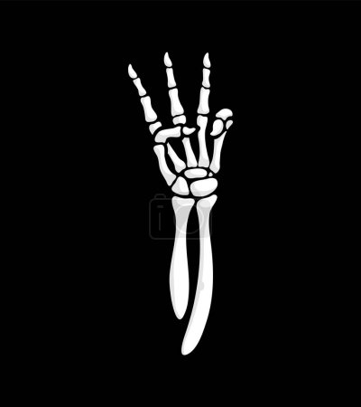 Téléchargez les illustrations : La main squelette forme un geste à trois doigts. Bras squelettique isolé vecteur Halloween créant un symbole frappant et étrange avec doigts osseux tendus, incarnant un message cryptique ou mystérieux - en licence libre de droit