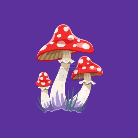 Illustration for Halloween fly agaric amanita mushrooms, horror night holiday and trick or treat party isolated cartoon vector. Happy Halloween holiday witch mushrooms for magic potion or liquid spell on spooky night - Royalty Free Image