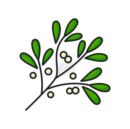 Ilustración de El muérdago europeo aisló el ícono de la línea navideña. Vector planta de hierbas delgada línea ramita o ramita con bayas y hojas, planta de temporada - Imagen libre de derechos