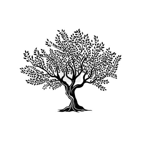 Téléchargez les illustrations : Icône de silhouette isolée d'olivier. Symbole monochrome de l'environnement et de l'écologie, éco-produit ou signe vecteur de jardin agricole biologique. Symbole ou icône de production d'huile d'olive naturelle avec tronc d'arbre et feuilles - en licence libre de droit