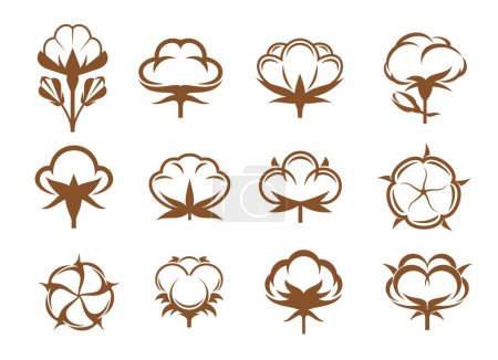 Illustration for Cotton icons of vector organic plant flowers with soft pure fiber bolls, buds, cases, seeds and leaves. Brown cotton flower isolated symbols set of natural fabric label, textile material, clothing tag - Royalty Free Image