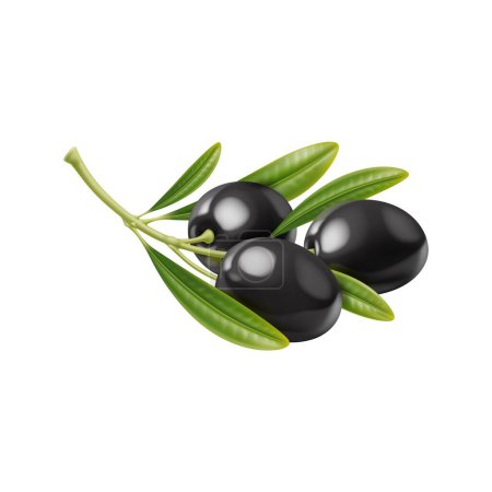 Illustration for Realistic raw black olives isolated branch with leaves for extra virgin olive oil and vegetable food, 3D vector. Raw olives branch harvest for organic farm food cuisine and natural cosmetic products - Royalty Free Image