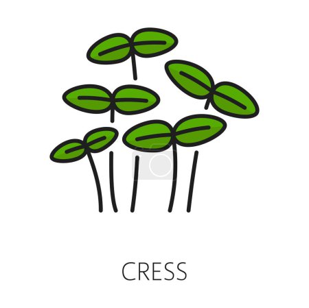 Ilustración de Verde ensalada de berros microgreens icono de contorno de color. Vector berro vegano sano nutrición hierba especia. Comida orgánica vegana cruda saludable - Imagen libre de derechos