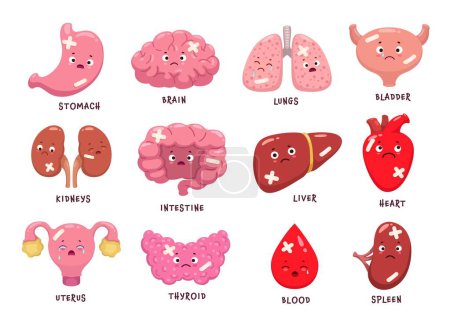 Illustration for Cartoon sick body organ characters. Injured and unhealthy organ personages of vector brain, heart, blood and liver, kidneys, stomach, spleen and bladder, intestine, uterus, lungs and thyroid gland - Royalty Free Image