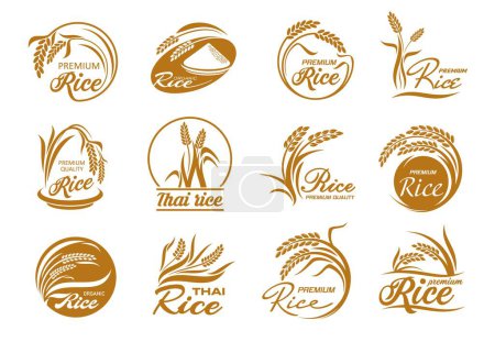 Rice icons with cereal plants and paddy grains. Vector gold leaves and seeds of farm field crop plant, bowl and grains pile silhouettes in round frames, thai and jasmine rice packaging labels set