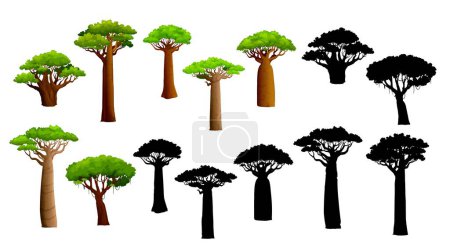 Téléchargez les illustrations : Des baobabs africains et des silhouettes. Ensemble vectoriel isolé de plantes majestueuses et anciennes, debout avec leurs troncs enflés emblématiques et leurs branches étalées, symbolisant la résilience dans les paysages arides - en licence libre de droit