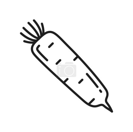 Illustration for White radish isolated daikon vegetable root thin line icon. Vector fresh veggie with stem, chai tow ingredient. Horseradish rhizome plant - Royalty Free Image