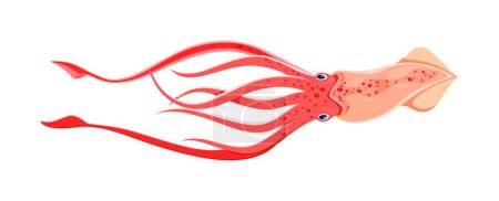 Illustration for Sea squid animal character, isolated cartoon vector marine creature with a soft body, tentacles, and ability to change color and shape. It navigates the ocean depths, using ink as a defense mechanism - Royalty Free Image