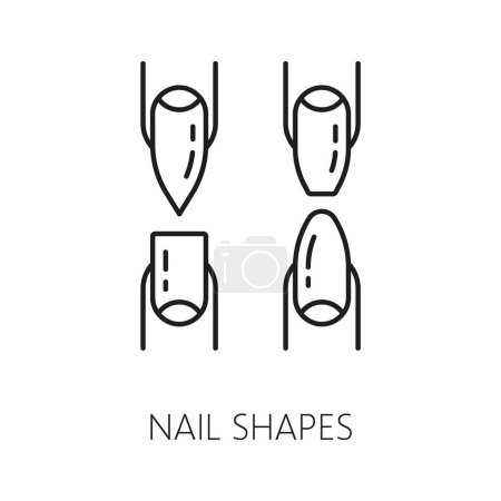 Illustration for Nail shapes icons for manicure service, hands care or fingernail treatment and beauty, line vector. Nail shape types pictogram for manicure fake or false nail application and cosmetic service - Royalty Free Image