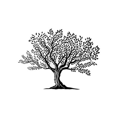Ilustración de Símbolo de silueta aislada de olivo. Alimentación vegetariana y mediterránea, empresa agrícola o símbolo vectorial de la producción de aceite de oliva. Signo de medio ambiente y ecología con huerto de granja copa de árbol viejo - Imagen libre de derechos