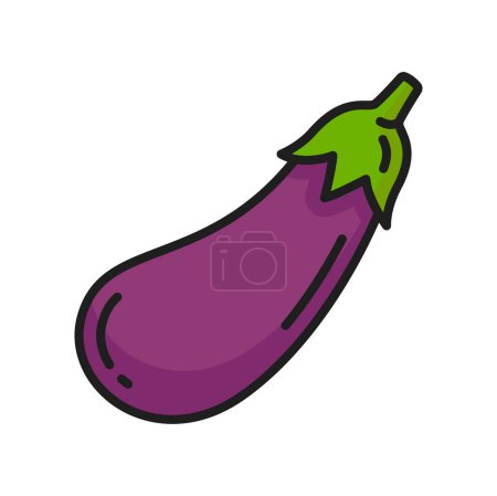 Téléchargez les illustrations : Aubergine pourpre aubergine légume couleur isolée ligne mince icône. Vecteur brinjal nourriture végétarienne comestible, courge d'Inde, produits agricoles et agricoles - en licence libre de droit