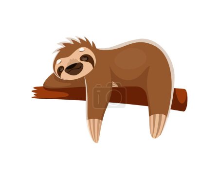 Illustration for Cartoon sloth character peacefully slumbers on tree branch, its tranquil expression and relaxed posture capturing the essence of its slow and easygoing nature. Isolated vector cute tropical animal nap - Royalty Free Image