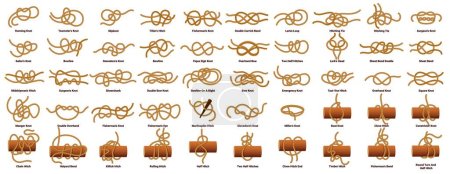 Illustration for Sailing ship rope knots, nautical sailor tie and bow, vector marine cords set icons. Nautical rope knot types and sea boat string loop names, bowline and fisherman hitching or double carrick knots - Royalty Free Image
