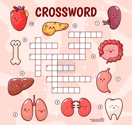 Illustration for Crossword quiz game grid. Human body organ characters. Crossword grid riddle, vocabulary quiz vector worksheet with heart, pancreas, kidney and intestine, liver, stomach organs cheerful personages - Royalty Free Image