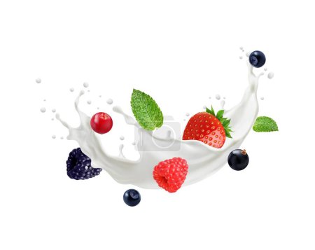 Ilustración de El yogur de leche o la crema fluyen salpicaduras con bayas. Salpicaduras de vectores realistas de onda batida. Salpicadura de productos lácteos con hojas de fresa, frambuesa y grosella negra, fresa, mora y menta - Imagen libre de derechos