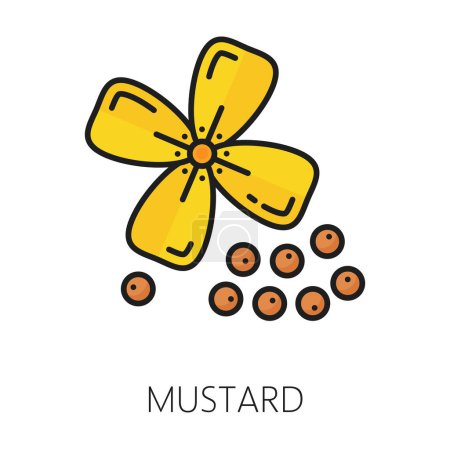 Illustration for Mustard plant with yellow flower and pod, seeds condiment outline icon. Vector mustard sauce dressing ingredient, floral canola plant and grains - Royalty Free Image