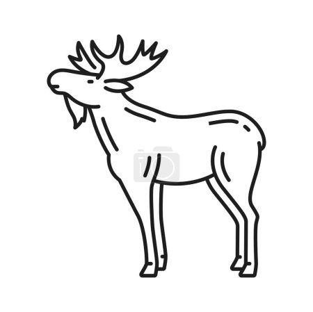 Téléchargez les illustrations : Elk plus grand cerf cornu animal isolé wapiti Suède animal mince silhouette icône. Orignal vecteur ou renne. Gros cerf suédois avec bois - en licence libre de droit