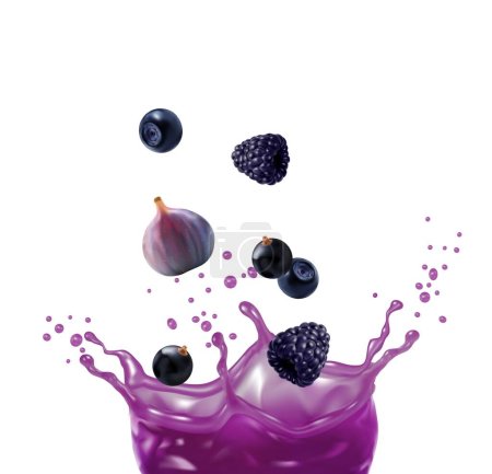 Illustration for Purple fruit juice mix splash. Isolated realistic 3d vector liquid corona splashing with blueberry, figs, black currant and blackberry. Fresh summer vitamin drink whirl with droplets and ripe berries - Royalty Free Image