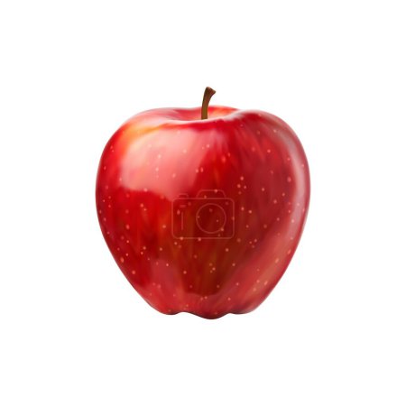 Ilustración de Manzana roja realista fruta entera. Planta jugosa vectorial 3d aislada con un tono rubí vibrante. Su sabor dulce-ácido y su textura crujiente lo convierten en un refrigerio refrescante y nutritivo. Alimento saludable con vitaminas del jardín - Imagen libre de derechos
