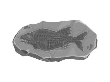 Illustration for Ancient fish fossil imprint in stone. Prehistoric era aquatic life stone fossil, ocean, sea or river fish skeleton bones archaeological find, paleontology science animal body rock imprint - Royalty Free Image