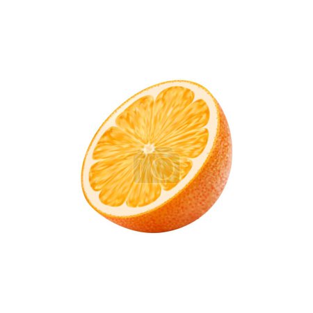 Illustration for Realistic ripe orange, citrus fruit in half cut, isolated vector piece of whole food. Raw orange half section with peel for juice, jam or lemonade drink and organic farm product package - Royalty Free Image