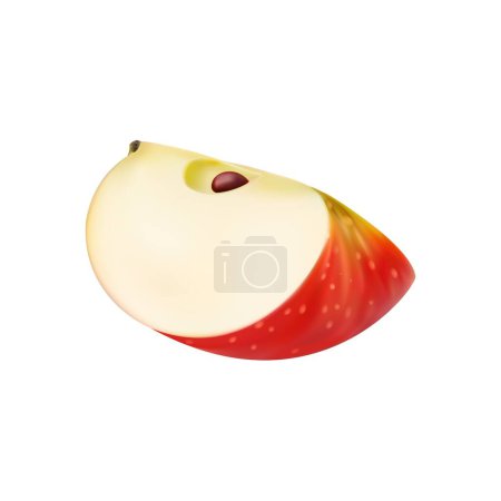 Illustration for Realistic apple, slice cut in piece or quarter slice, isolated vector food for juice or jam. Fresh red apple fruit cut section or lobule for organic food or farm product package - Royalty Free Image