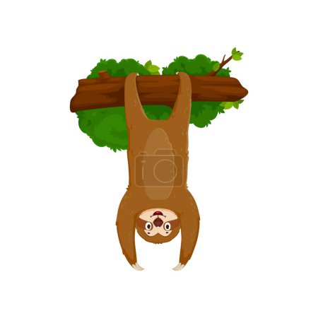 Illustration for Cartoon funny sloth character wearing a goofy grin, dangles upside-down from a tree branch with its long, lazy limbs. Isolated vector lovable whimsical jungle forest animal personage hanging - Royalty Free Image